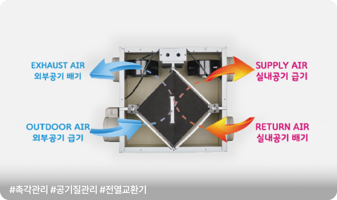 촉각 관리