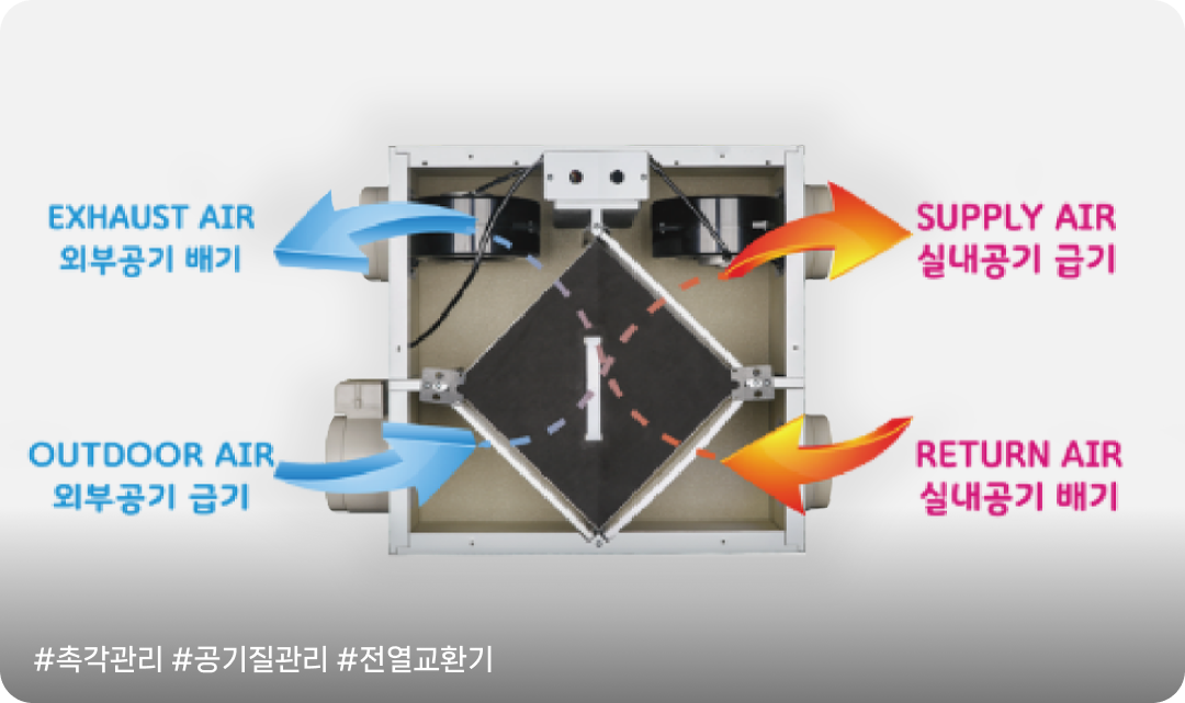 촉각 관리